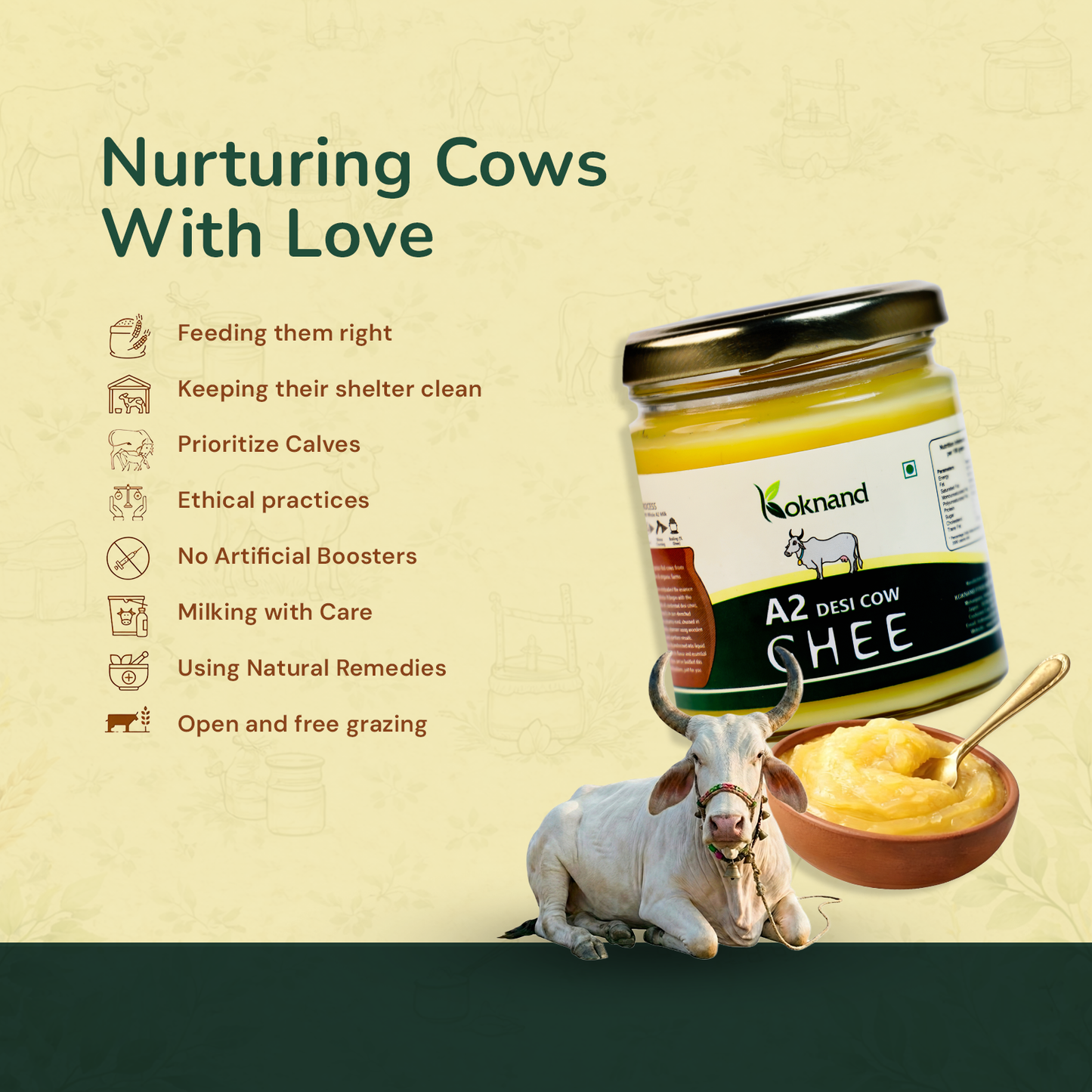 Koknand A2 Desi Ghee