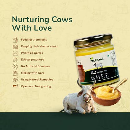 Koknand A2 Desi Ghee